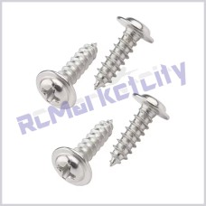 Screw 2.5x18mm (Pack of 10)